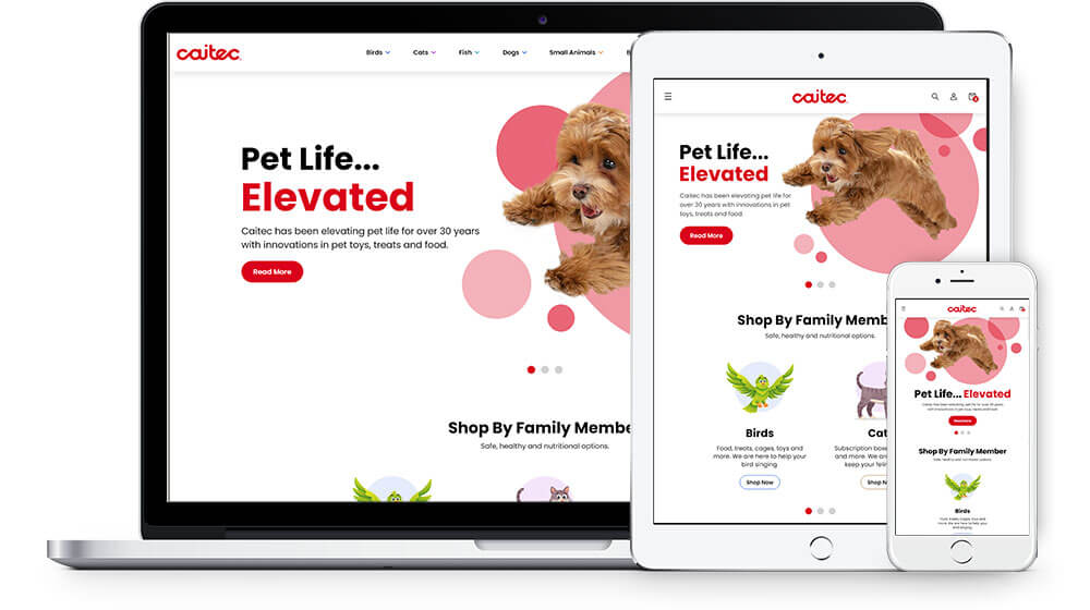 Caitec Shopify website on desktop, tablet and mobile