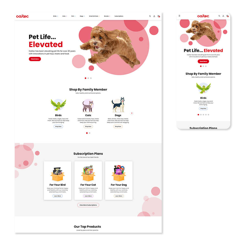 Homepage on desktop and mobile