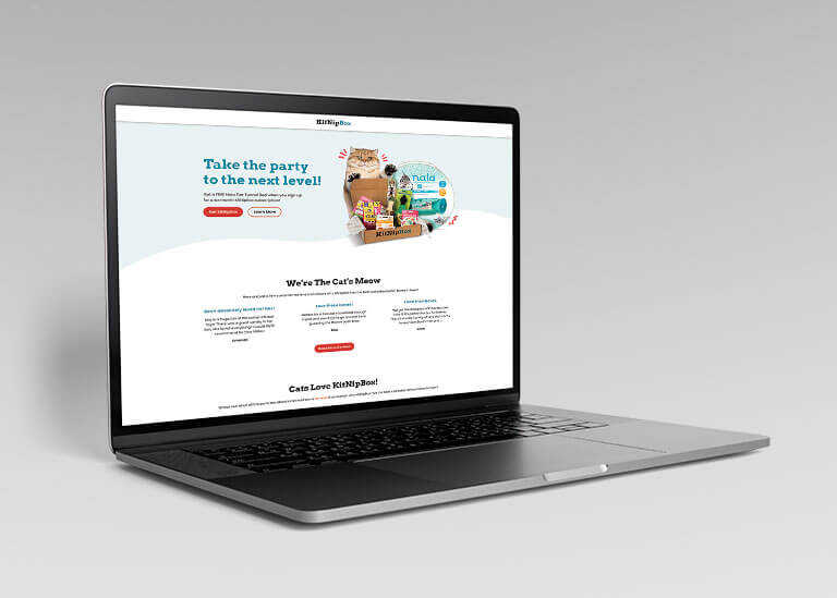 KitNipBox landing page design on laptop